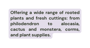 Offering a wide range of rooted plants and fresh cuttings from philodendron to alocasia cactus and monstera corms and plant supplies